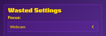 Webcam Controls Example