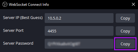 WebSocket Connect Info